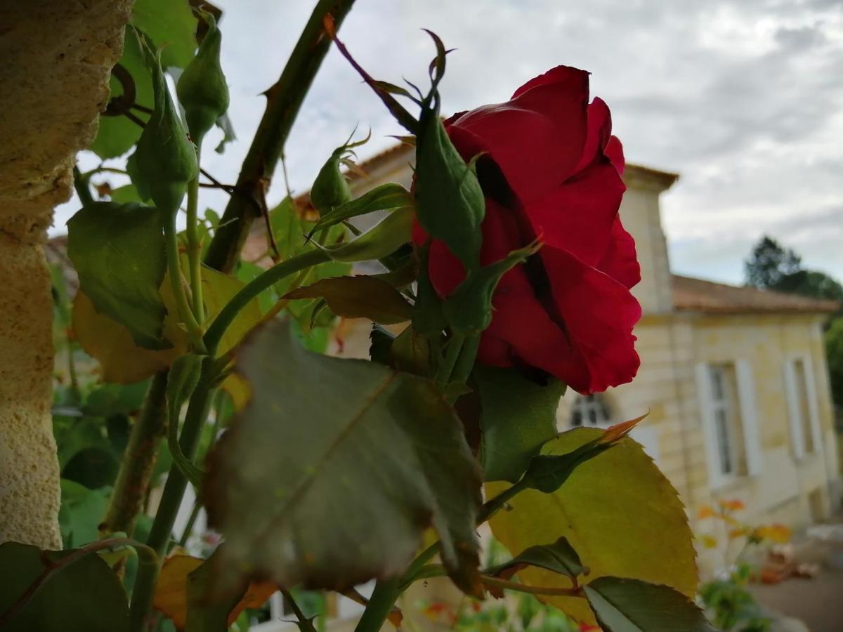 Domaine Du Chauvet Hotel Sainte-Eulalie  Eksteriør billede